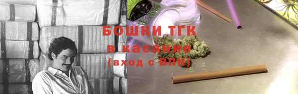 круглые Гусев