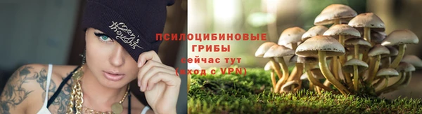 круглые Гусев