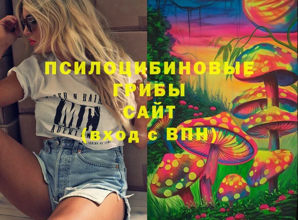 круглые Гусев