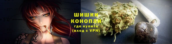 круглые Гусев