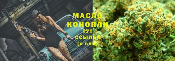 круглые Гусев
