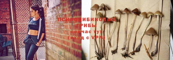 круглые Гусев