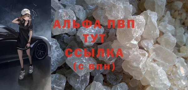 круглые Гусев