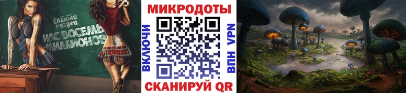 Псилоцибиновые грибы Psilocybine cubensis  Купить закладки  Большой Камень 